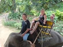 phuket elephant treking